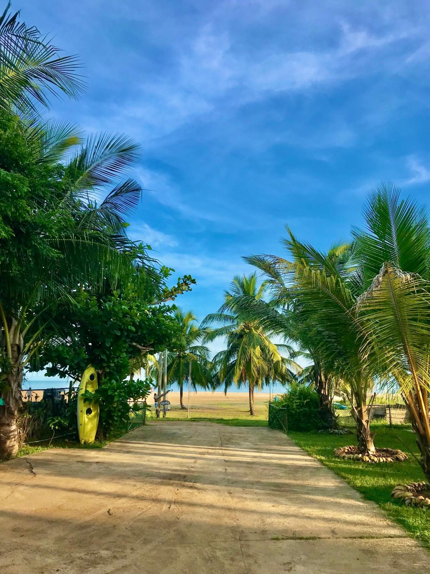 Aqua Marine Beach Hotel Kalkudah  Eksteriør bilde